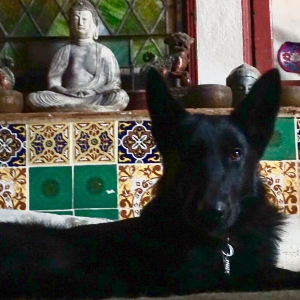 Meet your Posher, Kiki